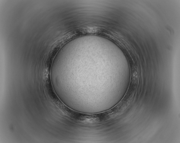 X0000112980555200909101716