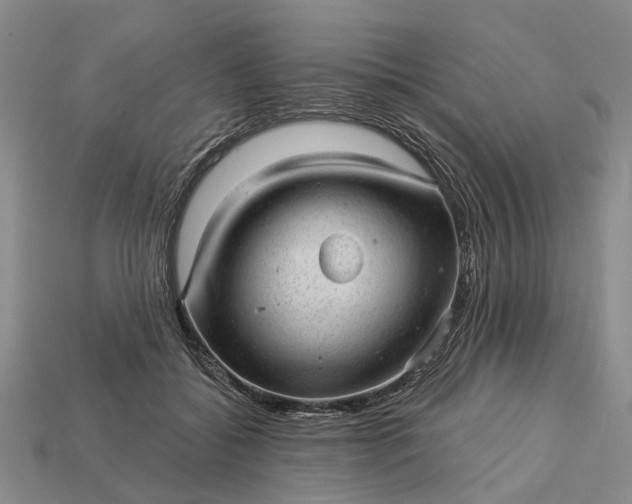 X0000112980556200909101716