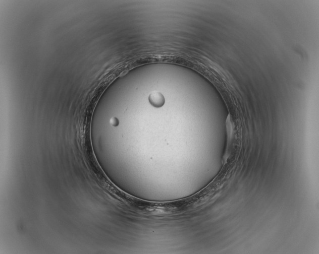 X0000112980558200909101716