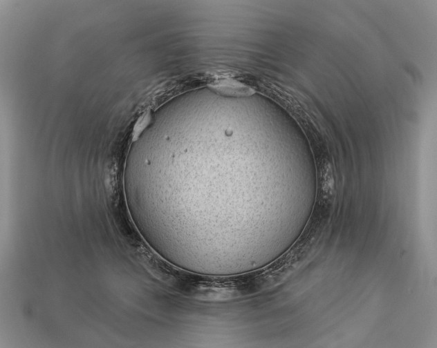 X0000112980559200909101716