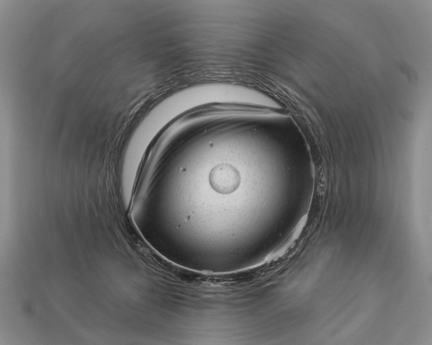 X0000112980560200909101716