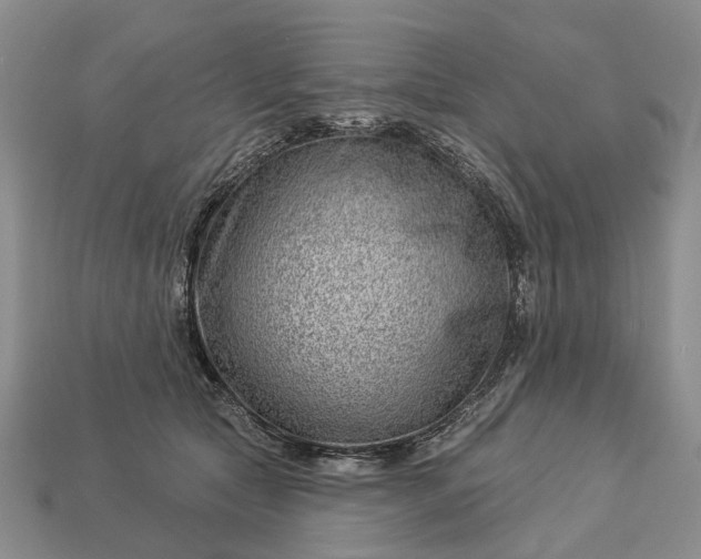 X0000112980561200909101716