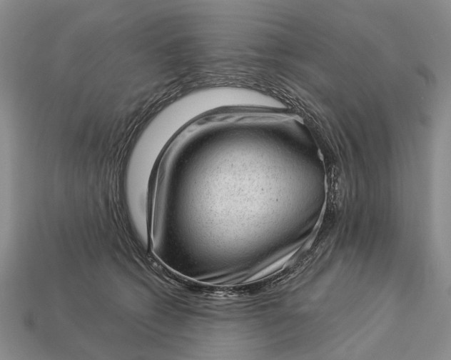 X0000112980562200909101716