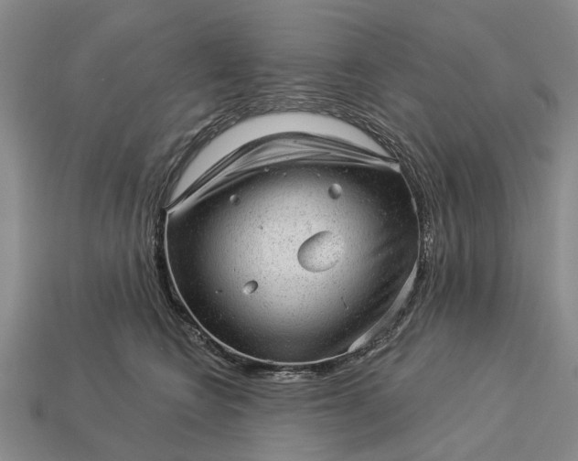 X0000112980566200909101716