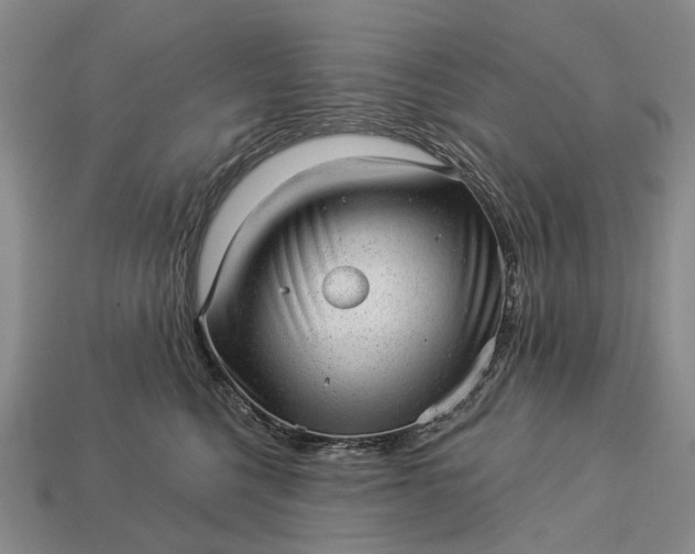 X0000112980568200909101717