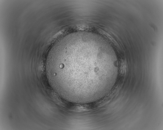 X0000112980569200909101717