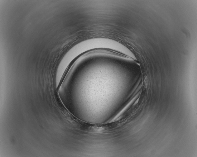 X0000112980570200909101717