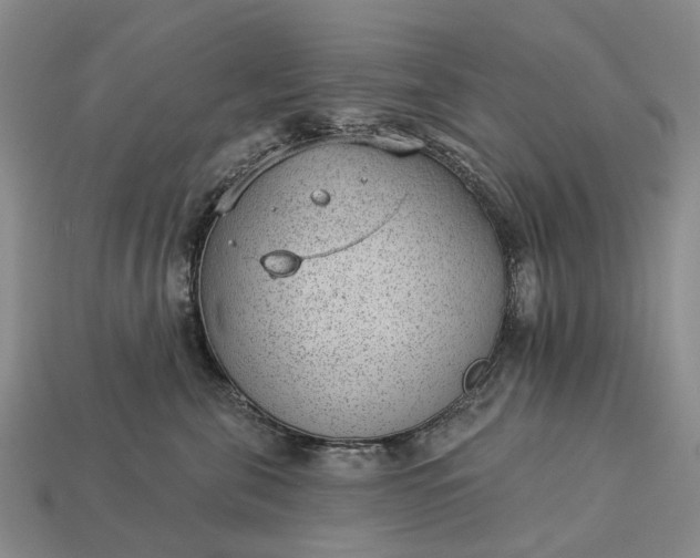 X0000112980571200909101717