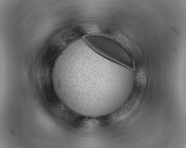 X0000112980572200909101717