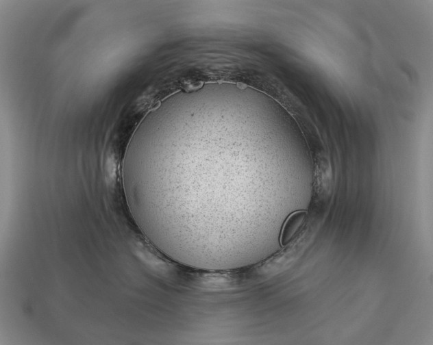 X0000112980574200909101717