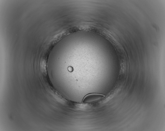 X0000112980575200909101717