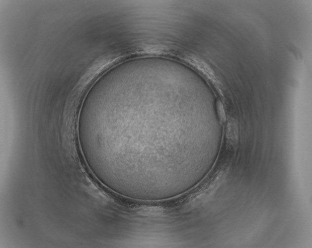 X0000112980577200909101716