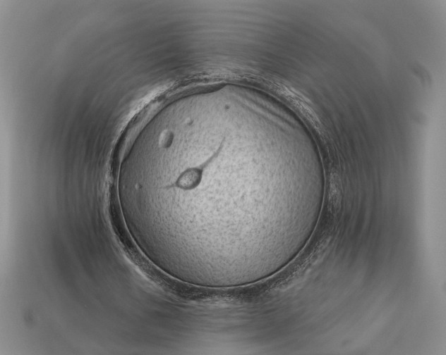 X0000112980578200909101716