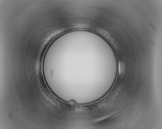 X0000112980579200909101716