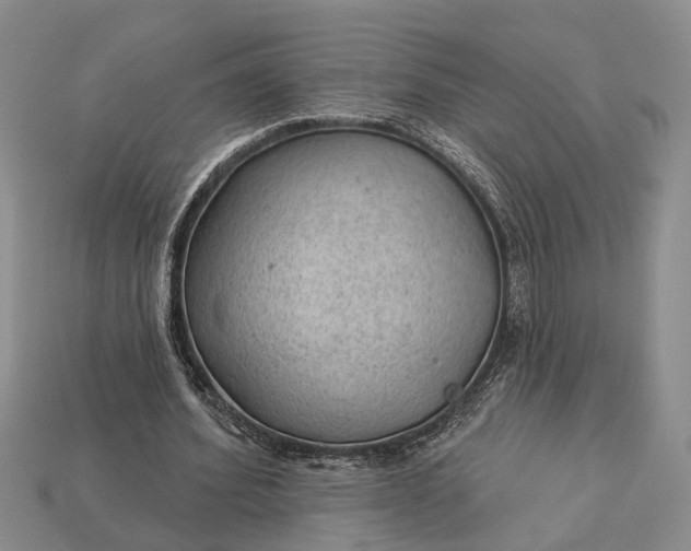 X0000112980580200909101716