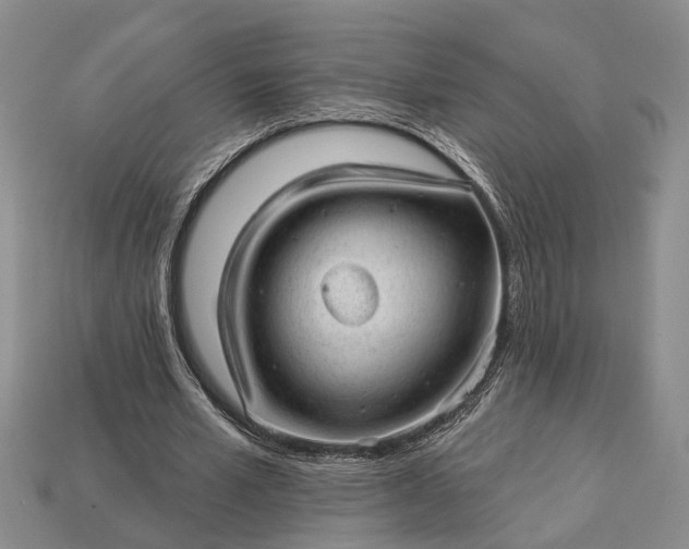 X0000112980581200909101716