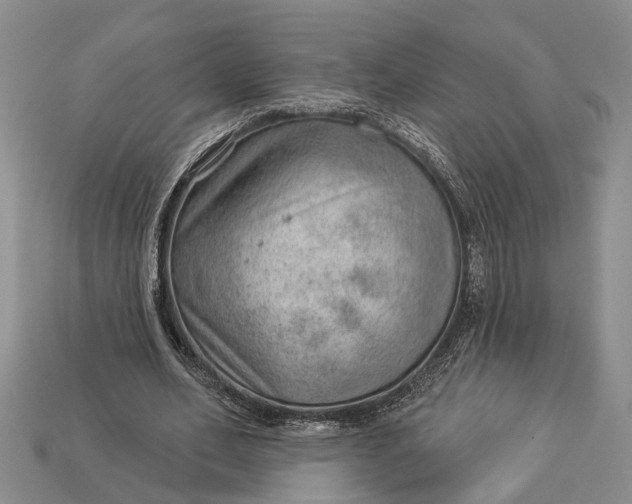 X0000112980582200909101716