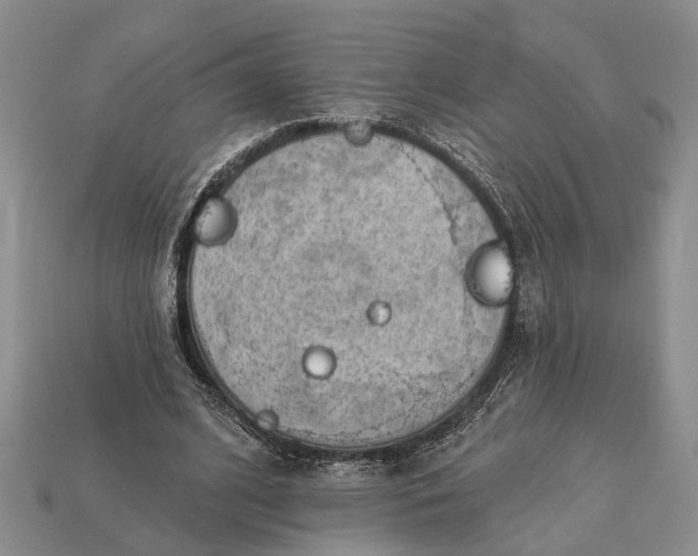 X0000112980584200909101716