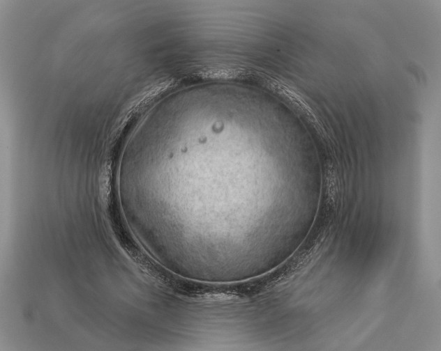 X0000112980586200909101716