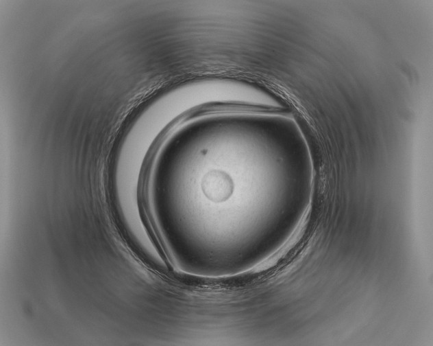 X0000112980589200909101716