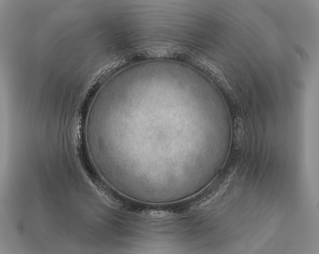 X0000112980590200909101716