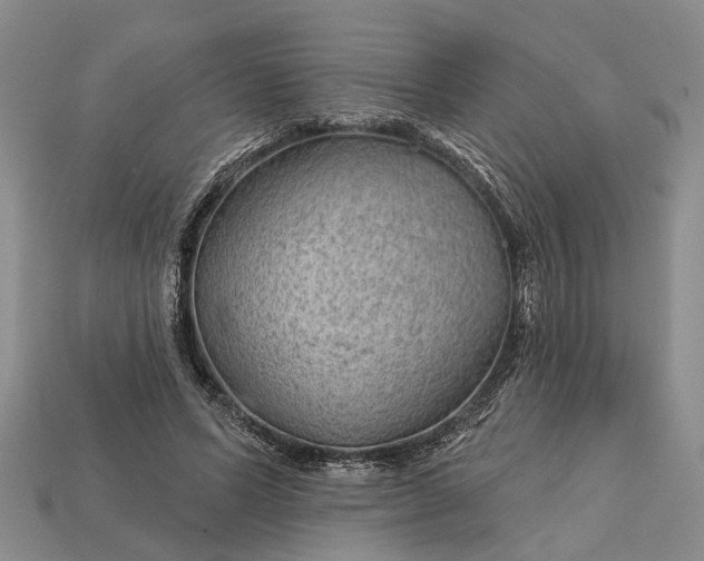 X0000112980591200909101716