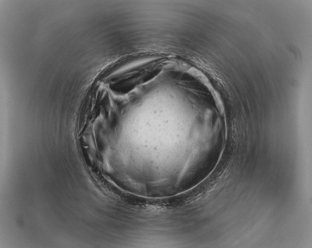 X0000112980592200909101716