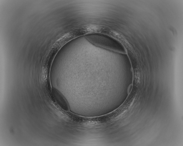 X0000112980593200909101716