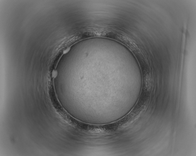 X0000112980594200909101716