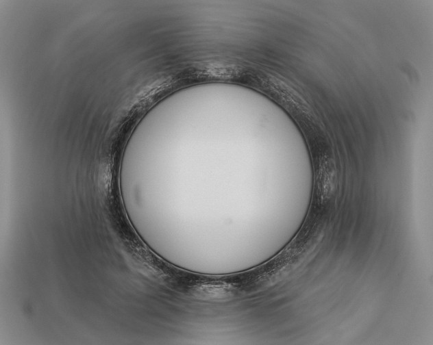 X0000112980595200909101716