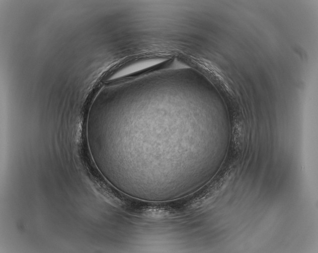 X0000112980596200909101716