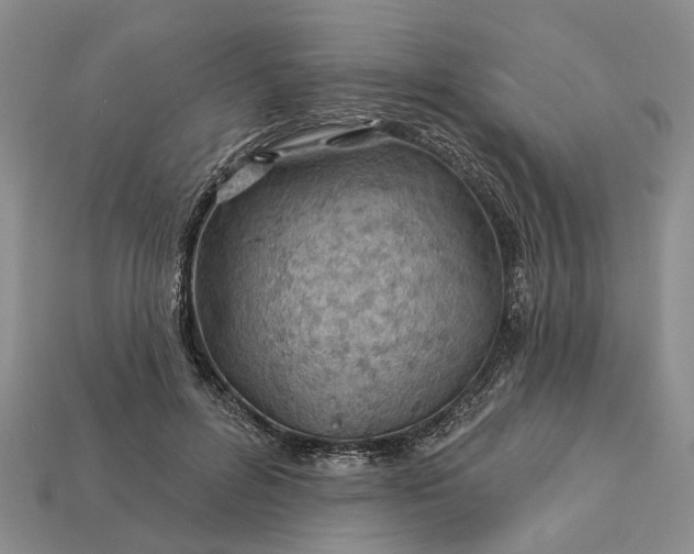 X0000112980600200909101716