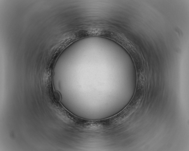 X0000112980601200909101716