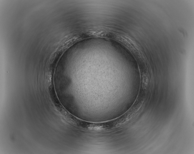 X0000112980602200909101716