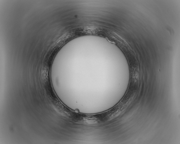 X0000112980603200909101715