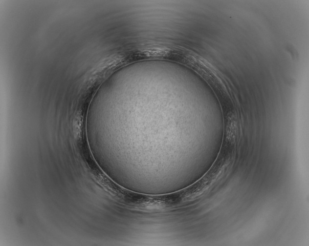 X0000112980604200909101715