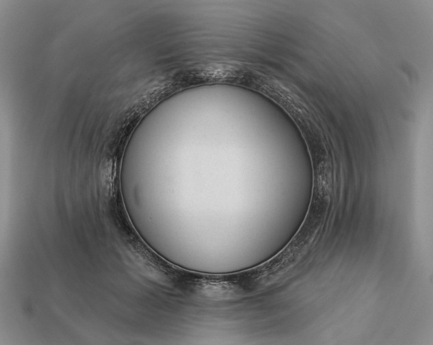 X0000112980605200909101715