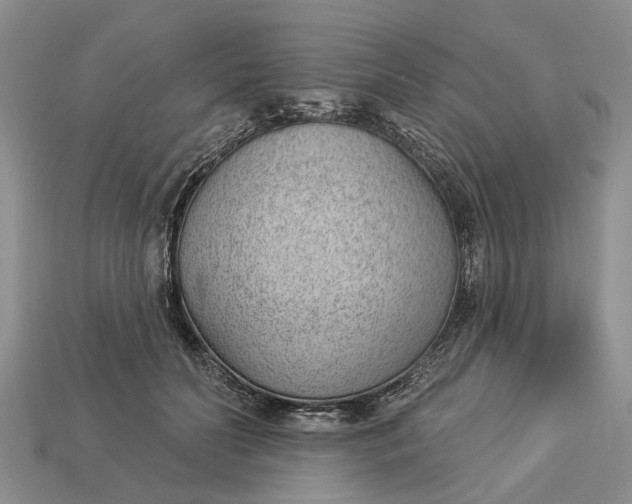 X0000112980606200909101715