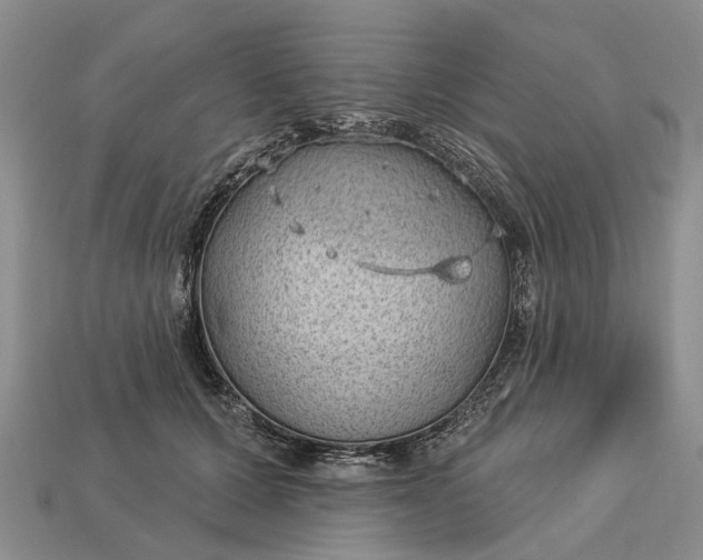 X0000112980607200909101715