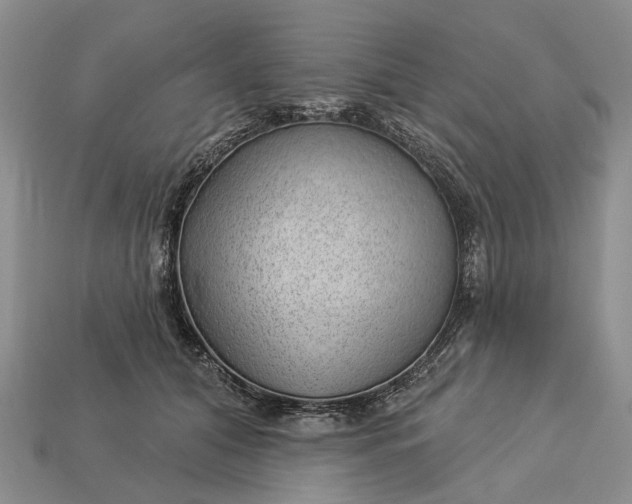 X0000112980608200909101715