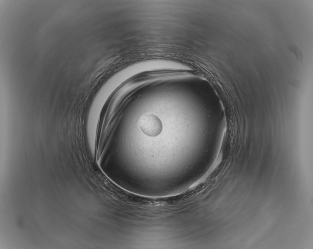 X0000112980609200909101715