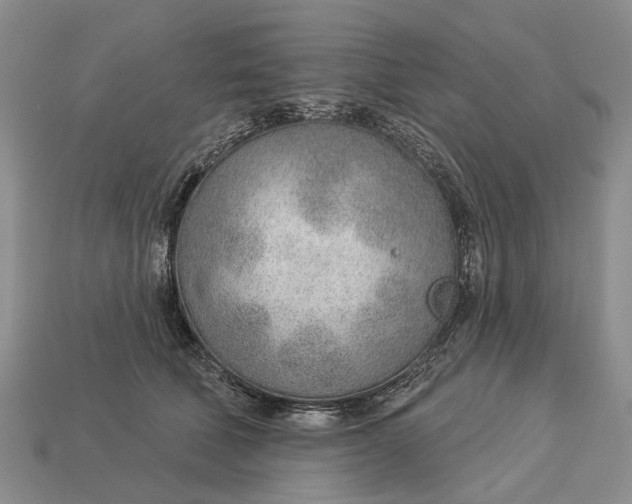 X0000112980610200909101715