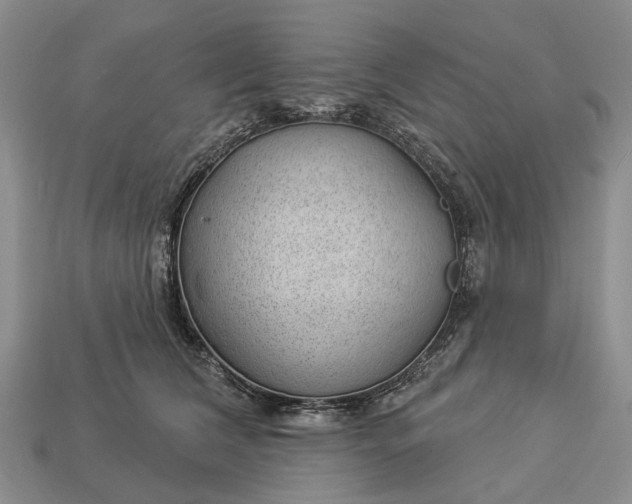 X0000112980612200909101715