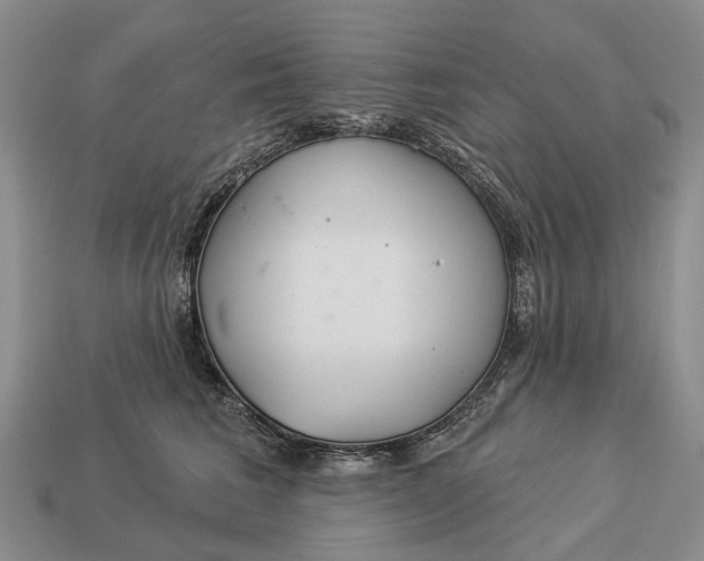 X0000112980613200909101715