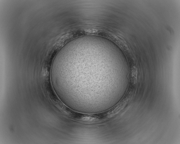 X0000112980614200909101715