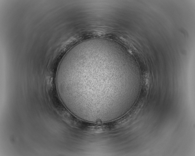 X0000112980615200909101715