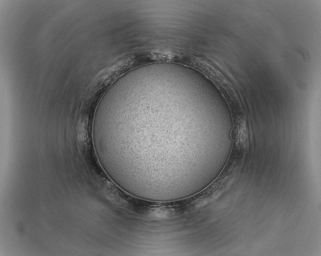 X0000112980616200909101715