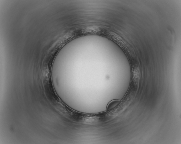 X0000112980617200909101715