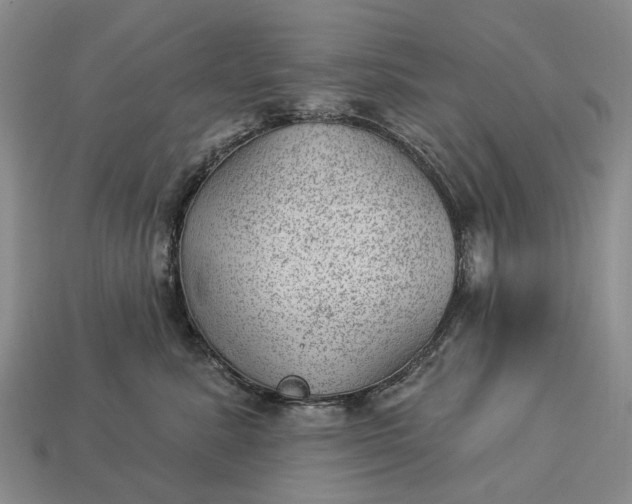 X0000112980619200909101715