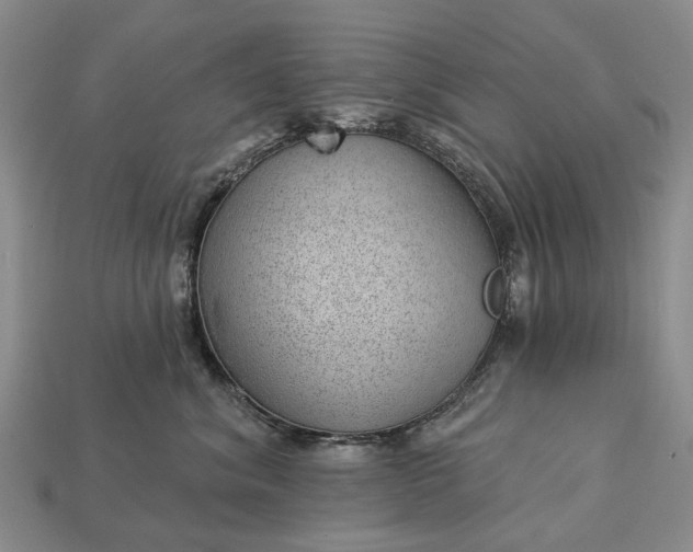 X0000112980620200909101715